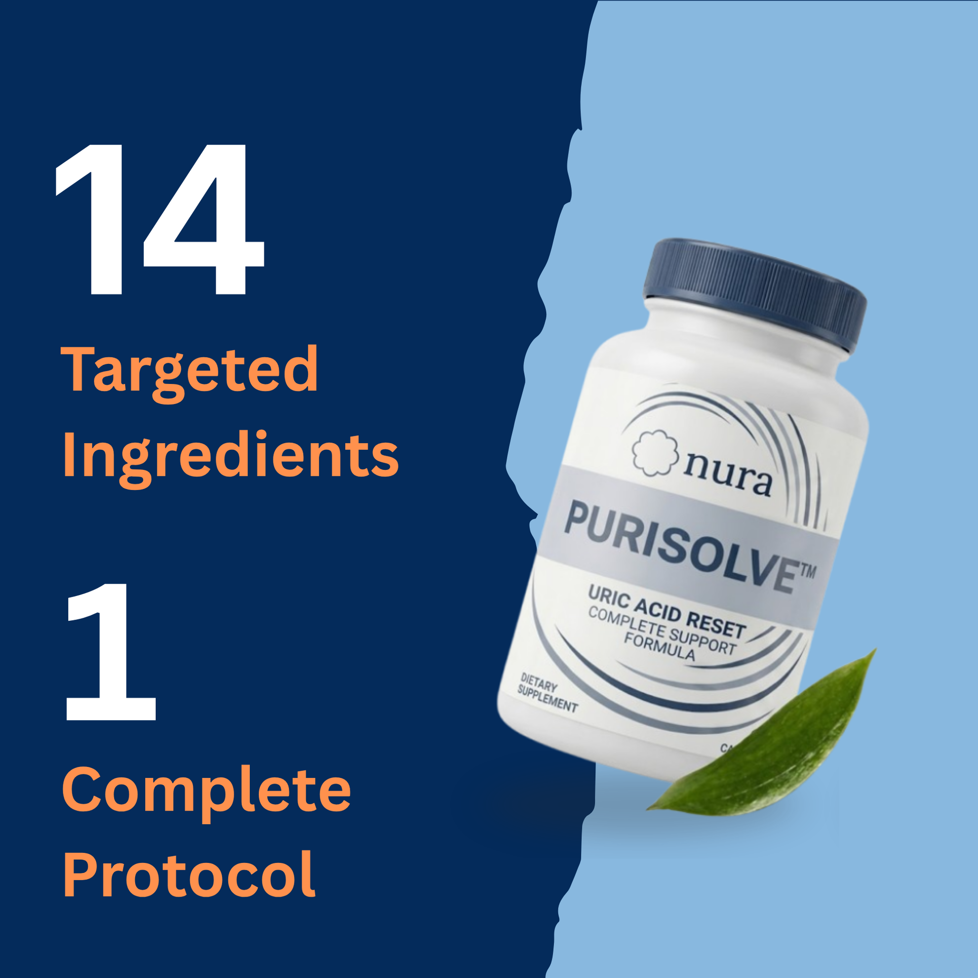 Purisolve