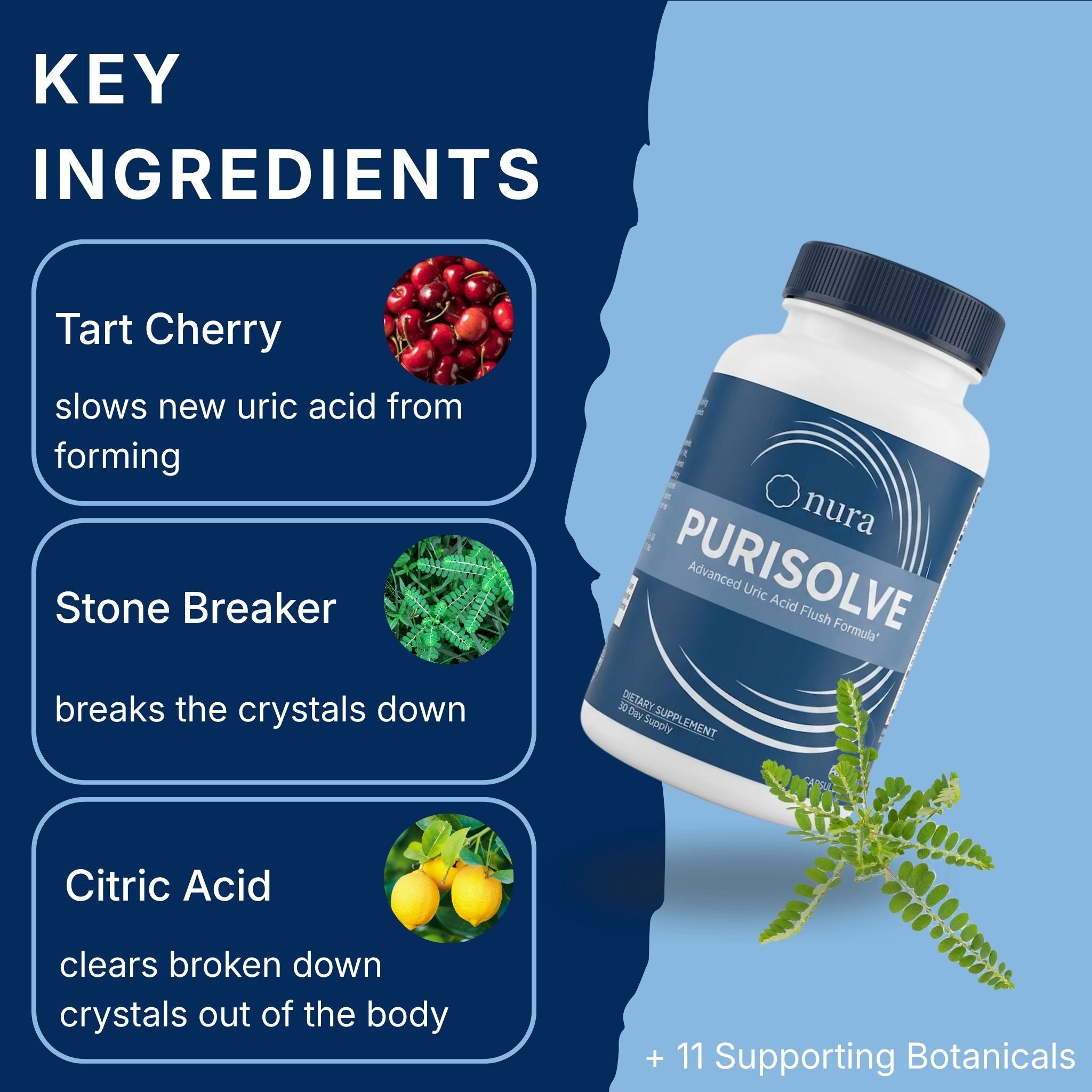 Purisolve | Uric Acid Crystal Clearing Formula