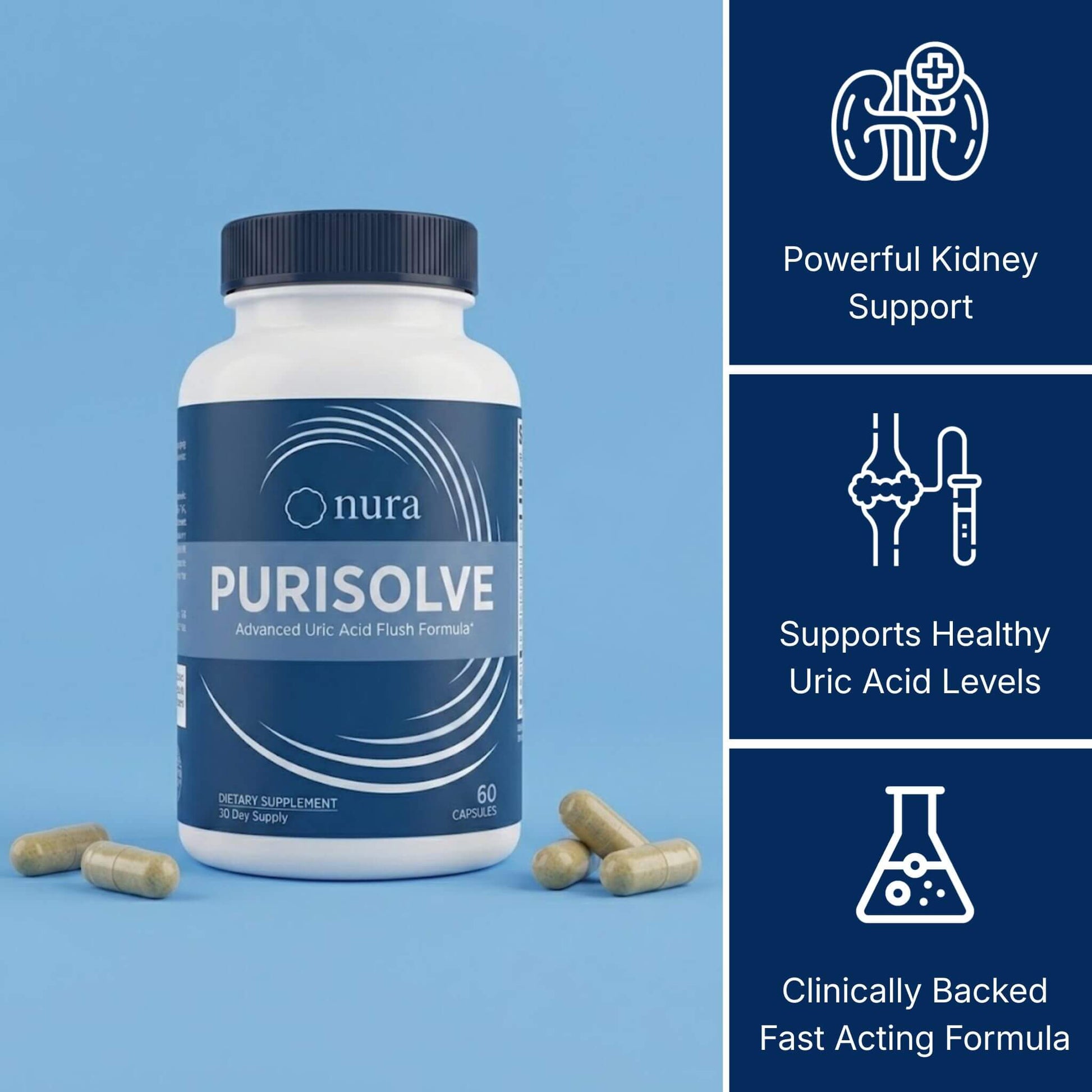 Purisolve