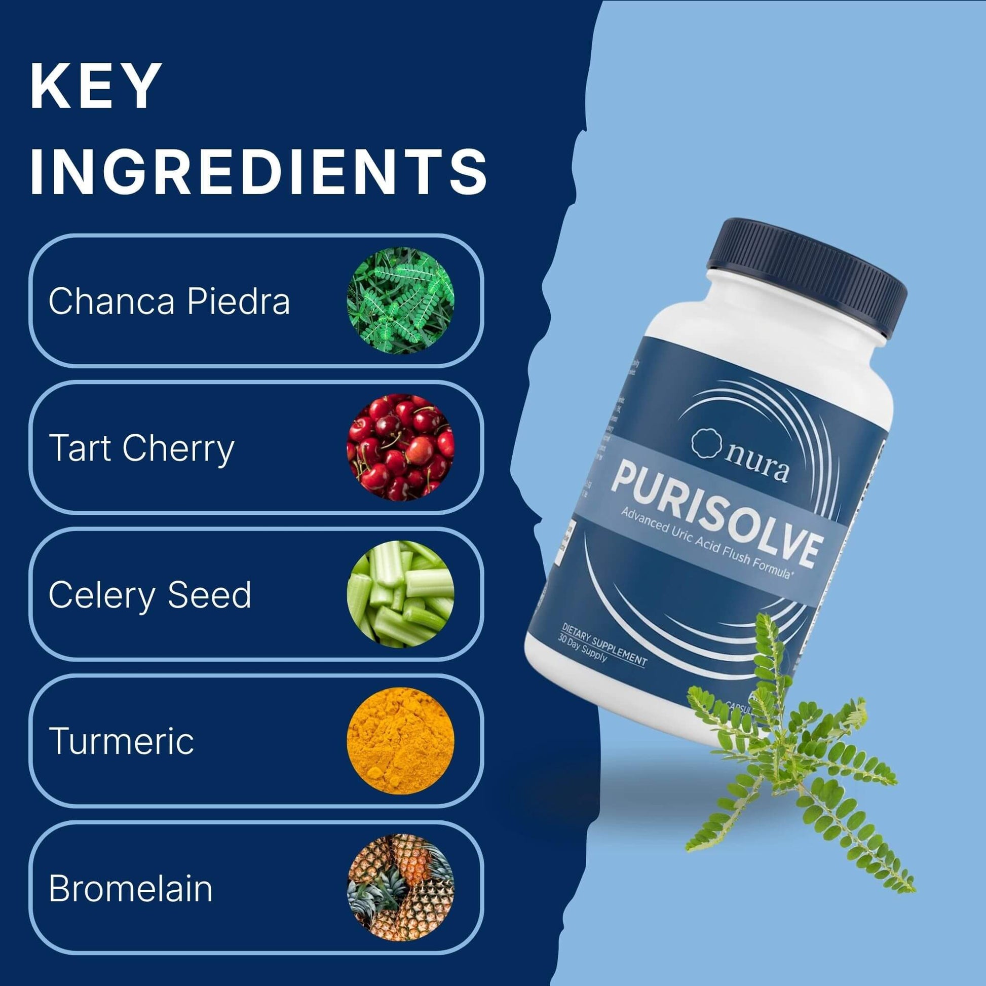 Purisolve