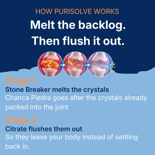 Purisolve