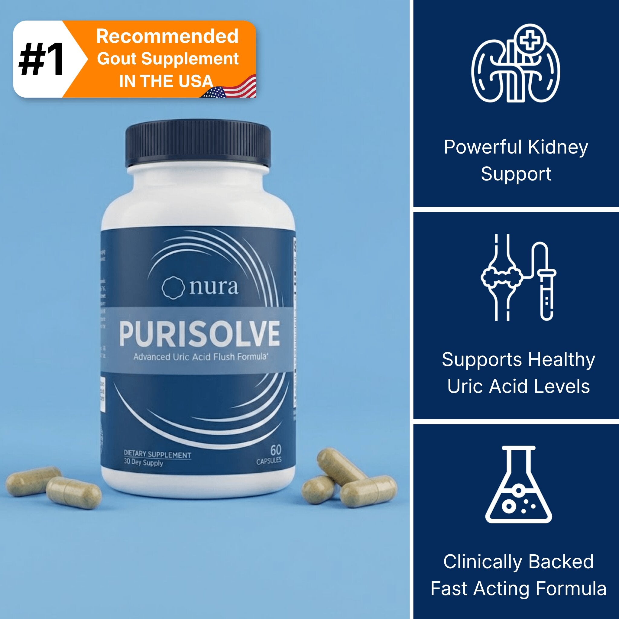 Purisolve