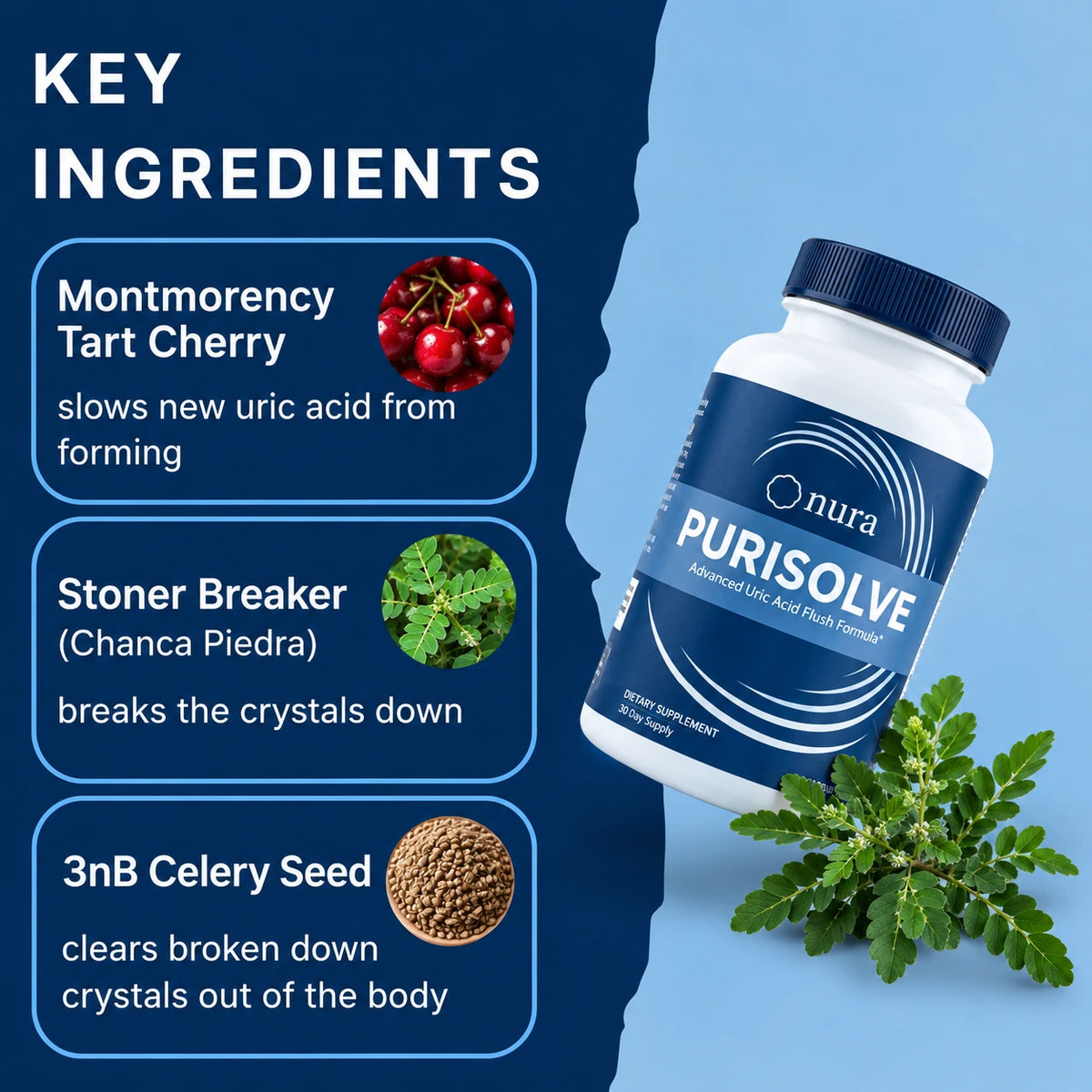 Purisolve® — Uric Acid & Kidney Flush